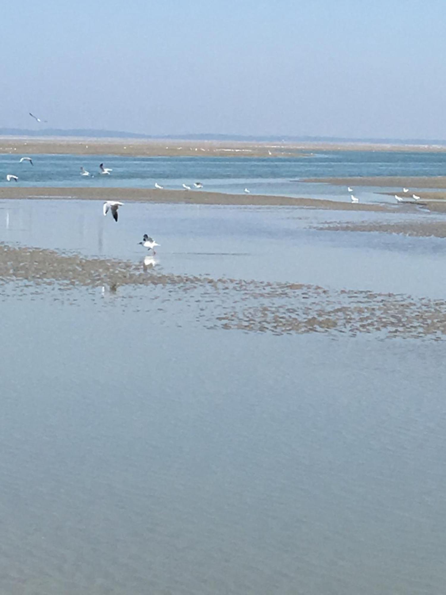 קאיו סור מר Maison De Pecheur Renovee A 3 Mn De La Mer. מראה חיצוני תמונה