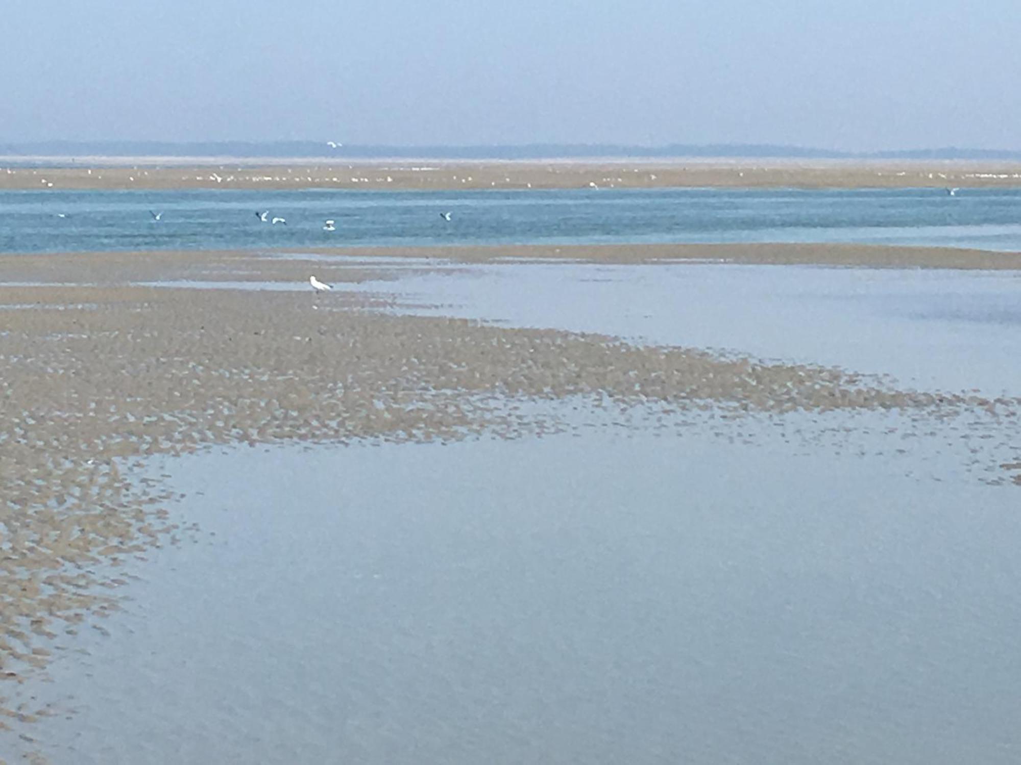 קאיו סור מר Maison De Pecheur Renovee A 3 Mn De La Mer. מראה חיצוני תמונה